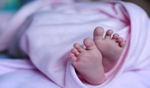 कचरे के ढेर में मिले छह से सात नवजात शिशुओं के शव, हड़कंप मचा