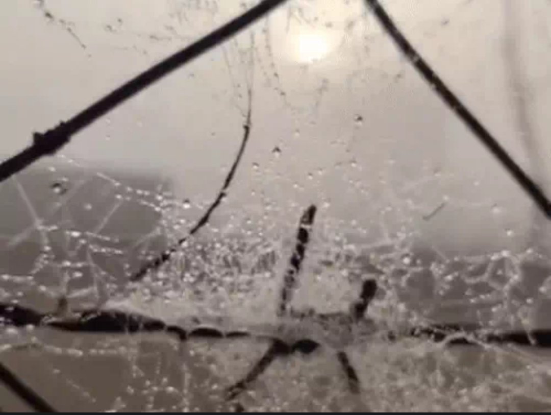 राजस्थान में बारिश-कोहरे का डबल अलर्ट, कई जिलों में सुबह तक छाया घना धुंधलका