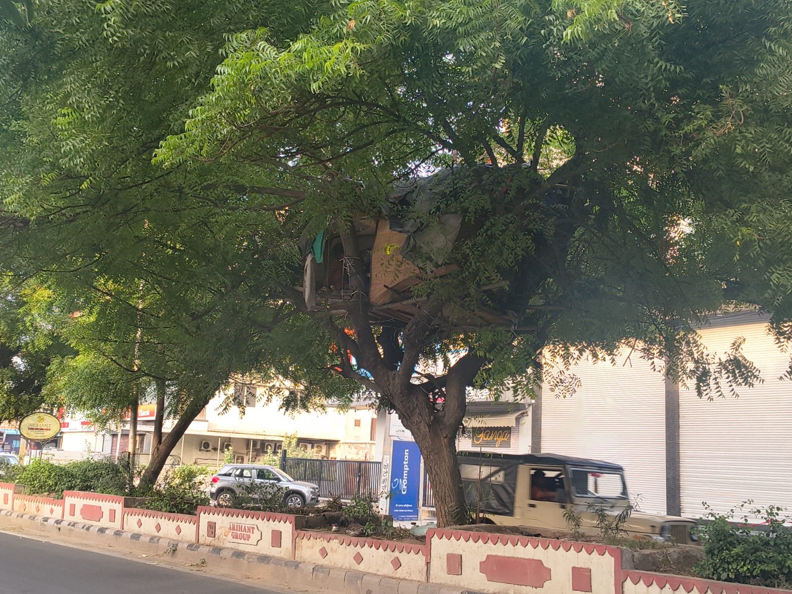 उदयपुर में सड़क के बीचों-बीच बना ट्री हाउस, कभी भी हो सकता है बड़ा हादसा